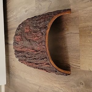 Large tortoise hide (estimated 8 in length)